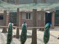 -南京金牛湖风景区