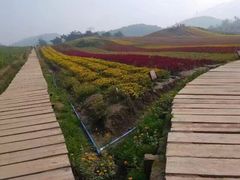 -南山植物园
