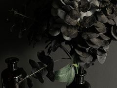 -解药·antidote Cafe&Bar