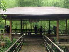 -山沟沟景区