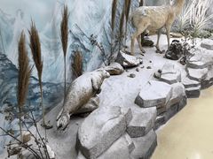 -西霞口神雕山野生动物世界