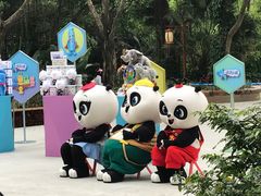 -珠海横琴长隆《卡卡虎奇遇记》