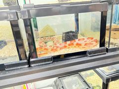 -青石桥花鸟鱼虫市场(叠翠城店)