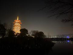 -洋湖国家湿地公园