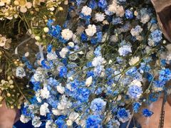 -万商花鸟市场