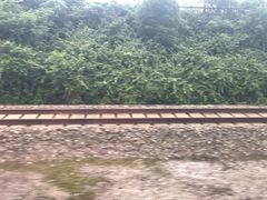 -岳阳东站