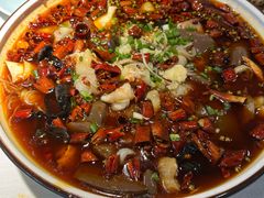 -蜀龙阁· 龍头水煮鱼(天坛店)