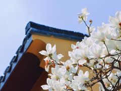 -龙华寺