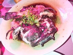 港蒸海鲈鱼-旗鱼海番村(Orang Asli)