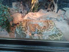 -水濂山森林公园