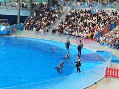 -海合安成都极地海洋公园