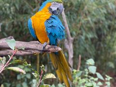 -云南野生动物园