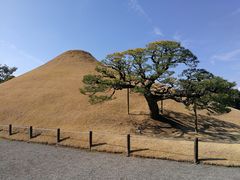-水前寺成趣园