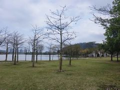-顺峰山公园