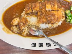 -伽喱博士 Dr.CURRY咖喱饭(太阳宫咖喱店)