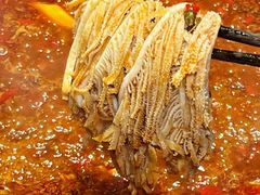 -红鼎坊·老成都火锅(新南门店)