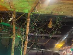 -河坝烧烤串城(金达莱店)