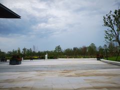 -东平国家森林公园