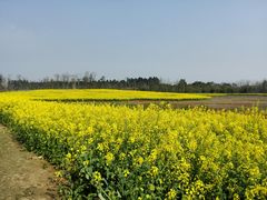 -白鹭湾湿地公园