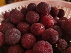 -东山风景区(洞庭东山)