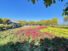 -广东花都香草世界旅游度假区