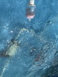 点击看大图 -萌宠亲子动物乐园(槐房万达店)