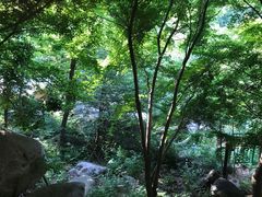 -崂山巨峰游览区