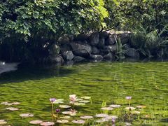 -泸州老窖景区