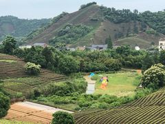 -帐篷客·溪龙茶谷度假酒店