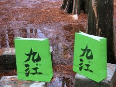 -天花井景区