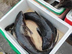 -后海村
