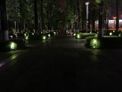 -百林公园-两江幸福广场