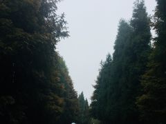 -山王坪喀斯特国家生态公园