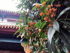 -四川大学(华西校区)