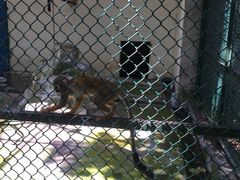 -广东茂名森林公园