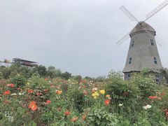-都江堰玫瑰花溪谷