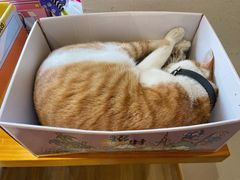-南枝小馆(银鱼巷店)