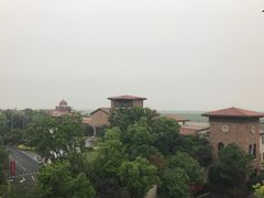 -上海崇明金茂凯悦酒店