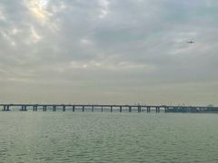 -宝安西湾红树林湿地公园