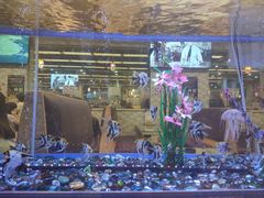 -新辉港式茶餐厅(北栅店)