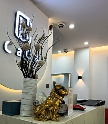 -CACA HAIR SALON
