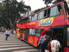 -广州都市观光巴士(粤陶巴)