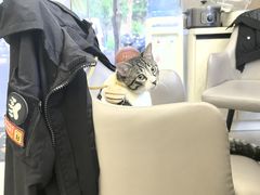 -琪航健身工作室(杨高南路地铁站店)