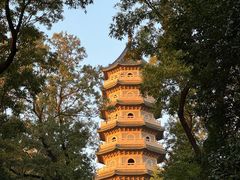 -灵谷景区