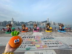 -星光大道