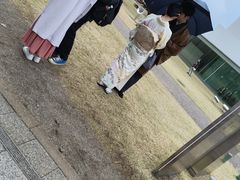 -金泽21世纪美术馆
