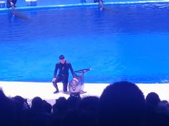 -华夏文旅海洋公园