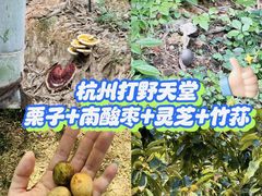 -黄公望隐居地