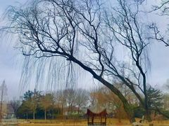 -陶然亭公园