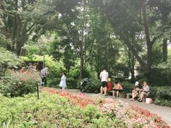 -成都市活水公园